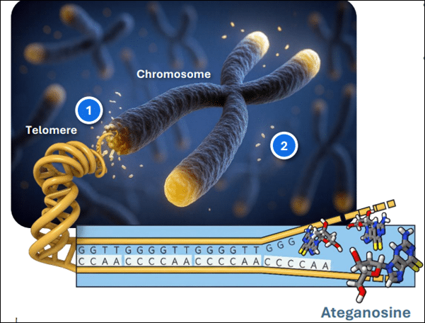 Inline Image